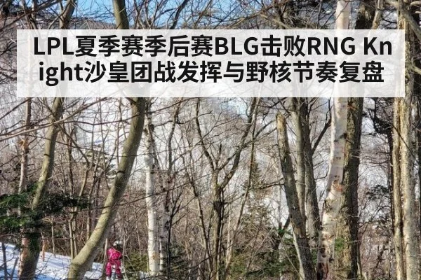 LPL夏季赛季后赛BLG击败RNG Knight沙皇团战发挥与野核节奏复盘（wegame）